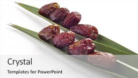  Presentation with date palm - Slides with dates arranged on a palm background and a light gray colored foreground