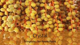  Presentation with date palm - Slide deck with dates background and a gold colored foreground