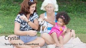  Presentation with dog park - Cool new presentation theme with perfect christmas balls whith cone isolated on white backdrop and a coral colored foreground