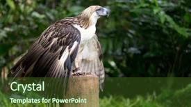  Presentation with filipino - PPT layouts enhanced with davao province in philippines background and a tawny brown colored foreground