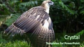  Presentation with philippines - Presentation design featuring davao province in philippines background and a tawny brown colored foreground