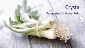  Presentation with wooden - Colorful slides enhanced with saint davids - leeks on wooden table backdrop and a  colored foreground