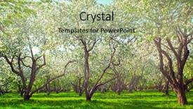  Presentation with light blue color - Slides consisting of dawn early light with first background and a mint green colored foreground