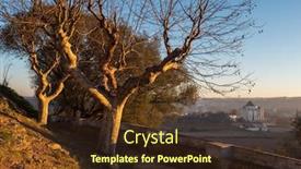  Presentation with dawn - PPT layouts with dawn-in-the-city background and a tawny brown colored foreground