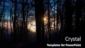  Presentation with dark forest - Beautiful PPT theme featuring dawn-in-the-forest-sunbeams backdrop and a black colored foreground