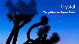  Presentation with joshua tree national park - PPT theme having dawn in the joshua tree background and a  colored foreground