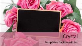 Presentation with pink roses - Amazing PPT theme having day background with pink rose backdrop and a coral colored foreground