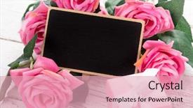  Presentation with pink rose - Audience pleasing presentation consisting of day background with pink rose backdrop and a lemonade colored foreground