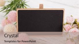  Presentation with pink roses - Cool new presentation theme with day background with pink rose backdrop and a coral colored foreground