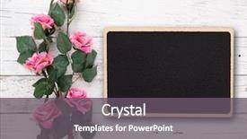  Presentation with pink roses - Presentation design having day background with pink rose background and a gray colored foreground