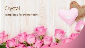  Presentation with pink rose - Amazing theme having day card with pink rose backdrop and a sky blue colored foreground
