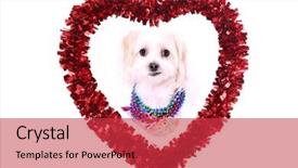  Presentation with valentines day - Cool new slide deck with day heart with a dog backdrop and a red colored foreground