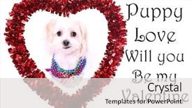  Presentation with valentines day - Slide set with day heart with a dog background and a light gray colored foreground