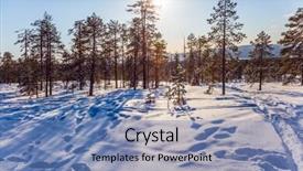  Presentation with new year streamer - Colorful PPT layouts enhanced with day in the forest sparse backdrop and a  colored foreground