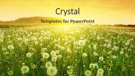  Presentation with managing finances during college - Beautiful PPT theme featuring day light - dandelions in meadow during sunset backdrop and a yellow colored foreground