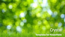  Presentation with grass - Cool new PPT theme with day light - grass and defocused green background backdrop and a shamrock green colored foreground