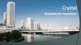  Presentation with japan - PPT layouts featuring full body of sport racing pigeon bird looking eye contact to camera background and a gray colored foreground.