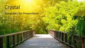  Presentation with forest bridge - PPT layouts having ancient wooden bridge in forest background and a yellow colored foreground