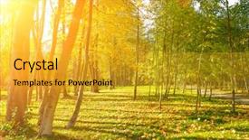  Presentation with bright yellow - Colorful PPT layouts enhanced with yellow fallen leaves illuminated sun backdrop and a gold colored foreground