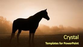  Presentation with fog - Amazing slide deck having silhouette of a horse backdrop and a tawny brown colored foreground