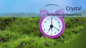  Presentation with green and purple mardi gras - Slide deck enhanced with daylight savings time - purple alarm clock on grass background and a light blue colored foreground