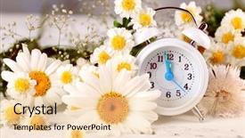  Presentation with beautiful flowers border floral design - Colorful PPT theme enhanced with daylight savings time - small alarm clock with beautiful backdrop and a lemonade colored foreground