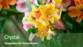  Presentation with crime tape blurred forensic - Colorful PPT theme enhanced with daylily closeup on a blurred backdrop and a tawny brown colored foreground