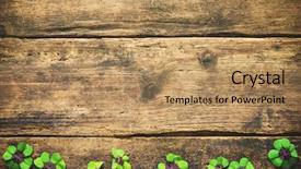  Presentation with good - Audience pleasing slides consisting of good old days - lucky shamrock st patrick's day backdrop and a coral colored foreground