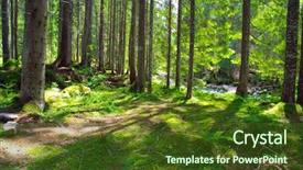  Presentation with green forest morning - PPT theme with dazzling - early morning sun background and a tawny brown colored foreground