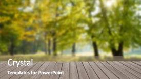  Presentation with green nature - Beautiful PPT theme featuring dazzling - forest trees nature green wood backdrop and a gray colored foreground