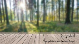  Presentation with tree sky trees green - PPT theme with dazzling - forest trees nature green wood background and a mint green colored foreground