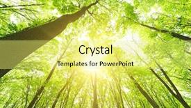  Presentation with green forest morning - Presentation design with dazzling - morning in the green forest background and a yellow colored foreground