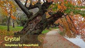  Presentation with memorial - Cool new PPT theme with dc - tidal basin and jefferson backdrop and a tawny brown colored foreground