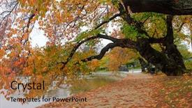  Presentation with china and united states - Amazing PPT theme having dc - united states of america backdrop and a  colored foreground