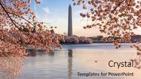  Presentation with usa - PPT theme enhanced with dc usa at the tidal background and a lemonade colored foreground