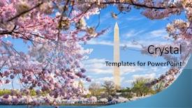  Presentation with season - Cool new PPT layouts with dc usa at the tidal backdrop and a light blue colored foreground