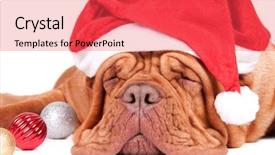  Presentation with waiting - Theme consisting of de bordeaux waiting for christmas background and a red colored foreground