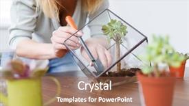  Presentation with class - Theme featuring de table du maitre - image of florist showing master background and a coral colored foreground