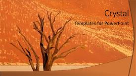  Presentation with africa - PPT theme consisting of desert trees - dead acacia tree background and a gold colored foreground