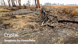 Presentation with forest fire - Slide deck having barefoot brunette girl outdoor with red high heels in her hands background and a coral colored foreground