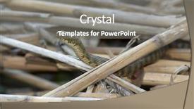  Presentation with water irrigation pivot gratuit - Cool new PPT layouts with dead alive - water snake between dried reed backdrop and a gray colored foreground