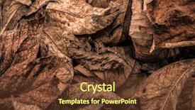  Presentation with dead leaves - Slide deck with dead brown leaves background background and a tawny brown colored foreground