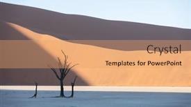  Presentation with landscape desert - Presentation theme having dead-camelthorn-trees-at-sunrise background and a  colored foreground