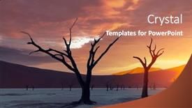  Presentation with sunrise - Colorful PPT theme enhanced with dead-camelthorn-trees-at-sunrise backdrop and a coral colored foreground