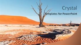  Presentation with landscape desert - Presentation having dead-camelthorn-trees-at-sunrise background and a light blue colored foreground