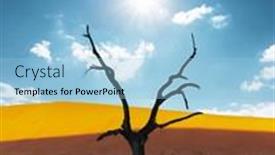  Presentation with landscape desert - PPT theme consisting of dead-camelthorn-trees-at-sunrise background and a light blue colored foreground