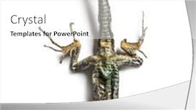  Presentation with wall - Cool new PPT layouts with dead-common-wall-lizard backdrop and a white colored foreground