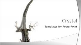  Presentation with chemistry solid state - Beautiful PPT theme featuring dead-common-wall-lizard backdrop and a white colored foreground