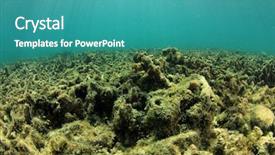  Presentation with coral reef - Slide set having dead coral reef killed background and a teal colored foreground
