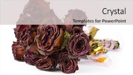  Presentation with roses - Presentation theme enhanced with dead end - bouquet of old roses background and a light gray colored foreground